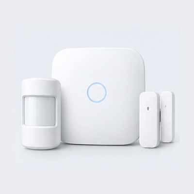 Home Security