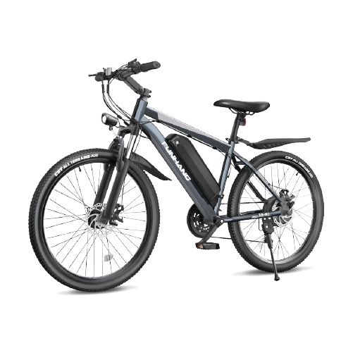 Ebike