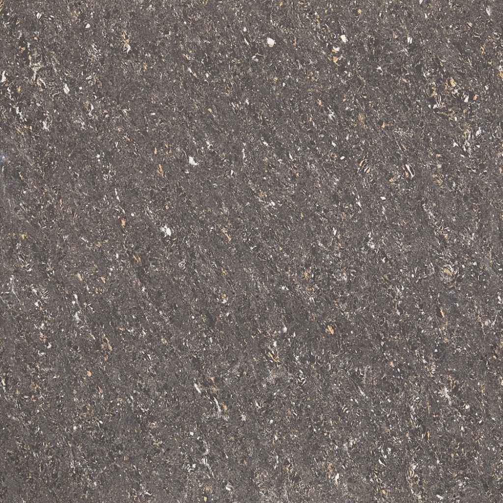 Aparna's Vitero Standard Tiles – Atlas Black