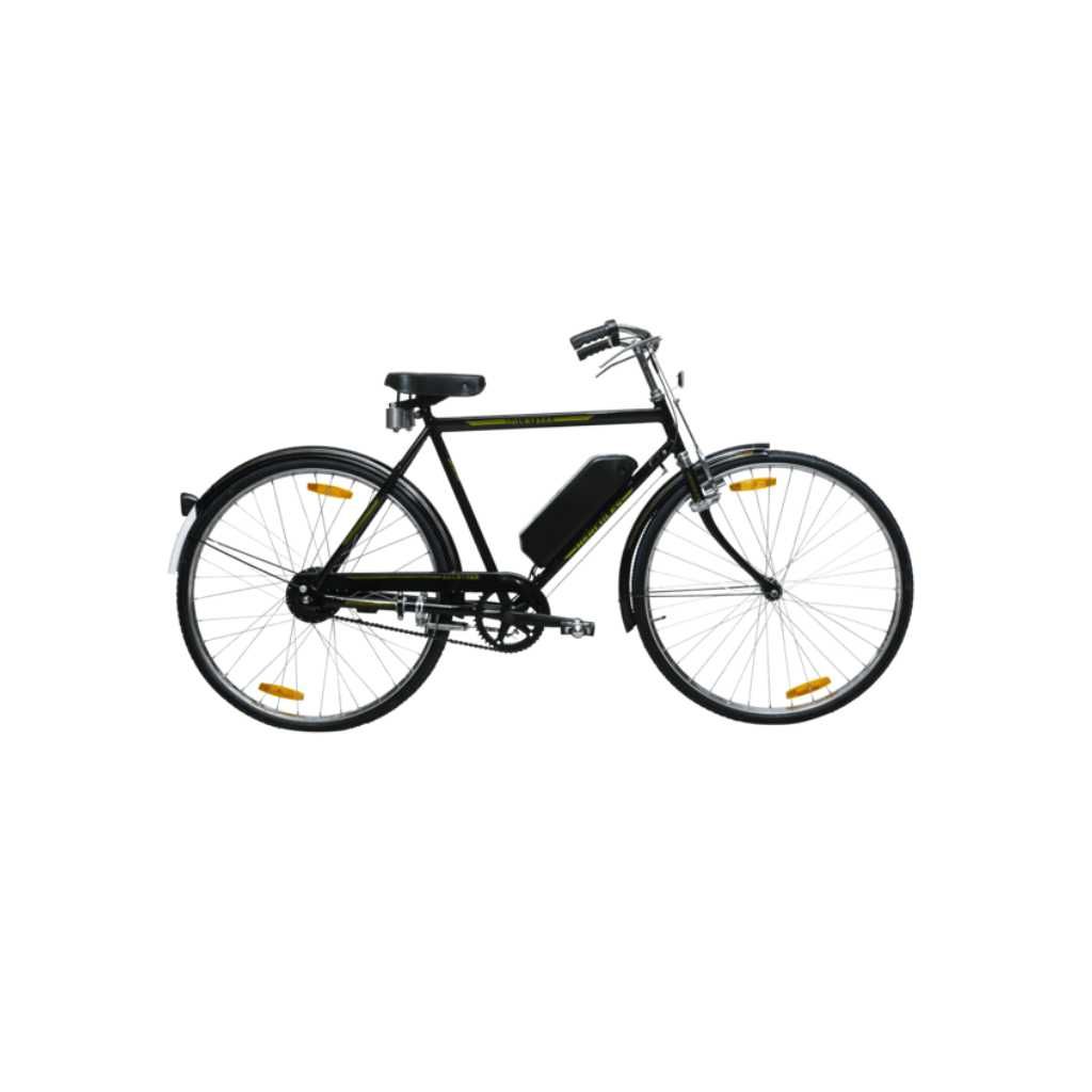 Hercules Shurveer Electric Bike